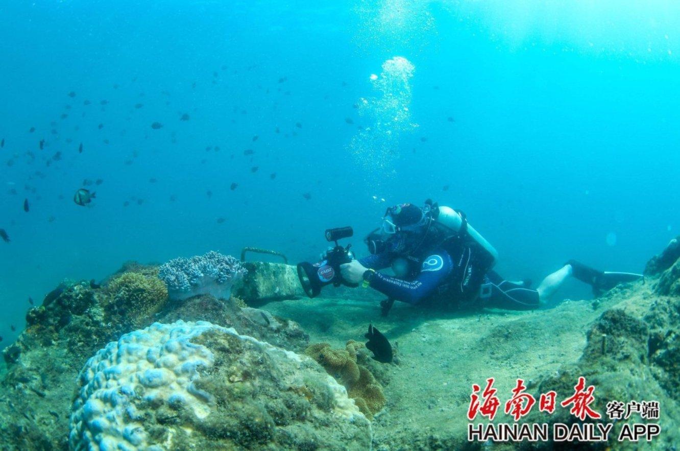 88影视