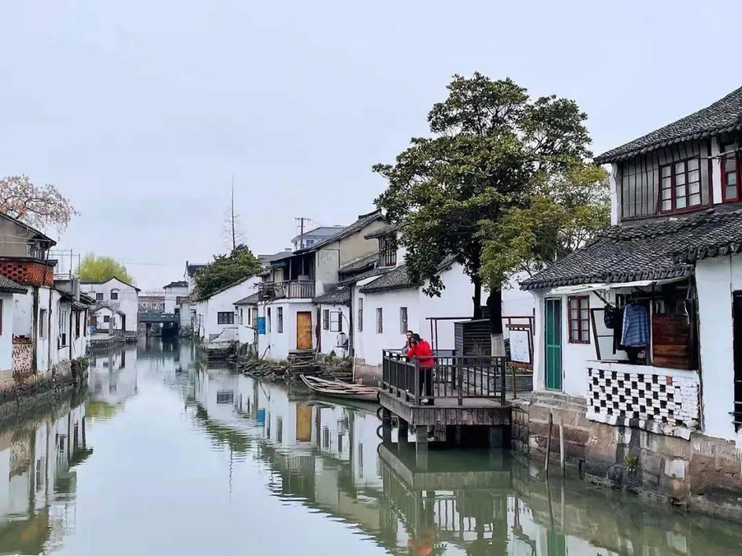 春雨直播app